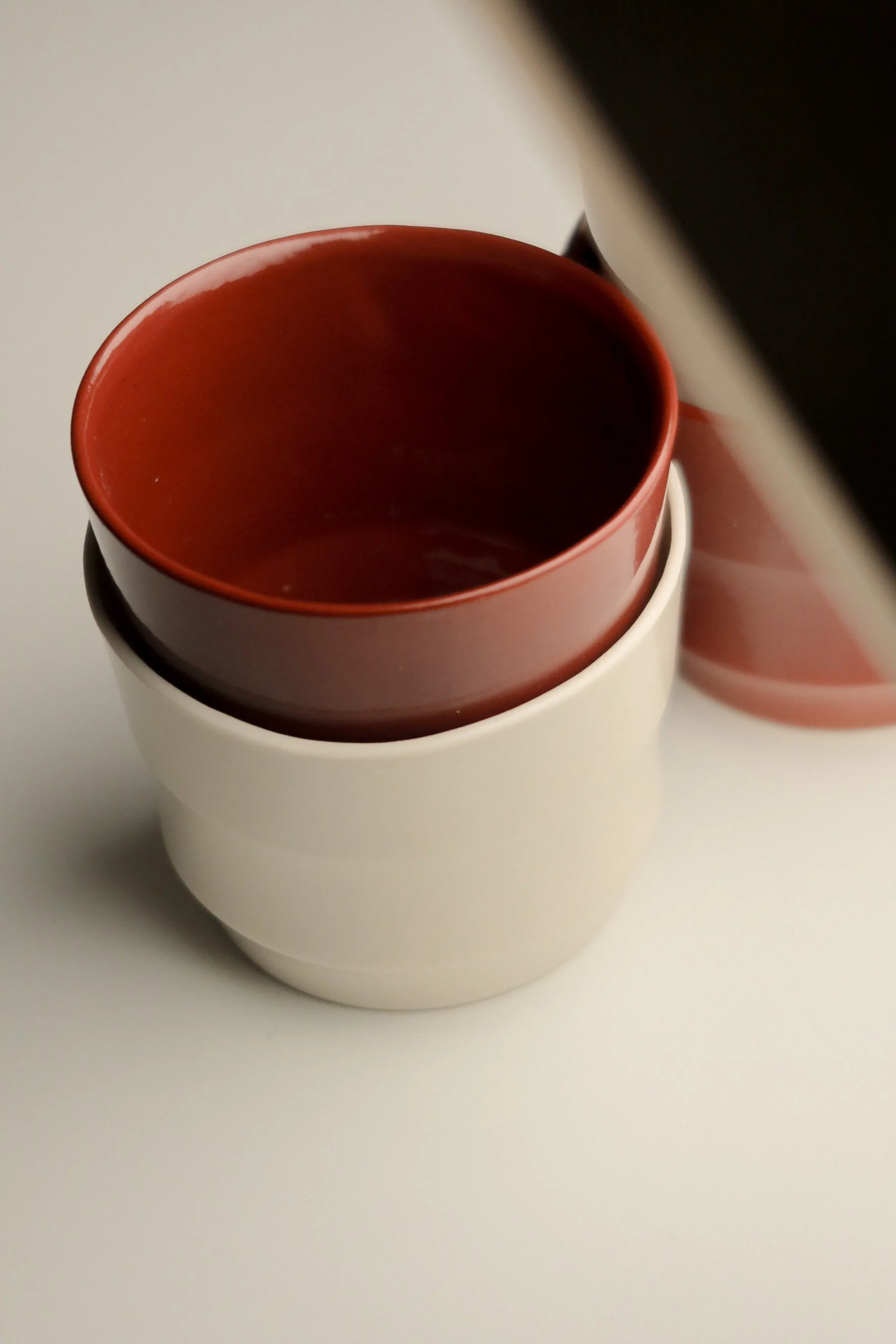 laddercup - rv - lichen7.JPEG