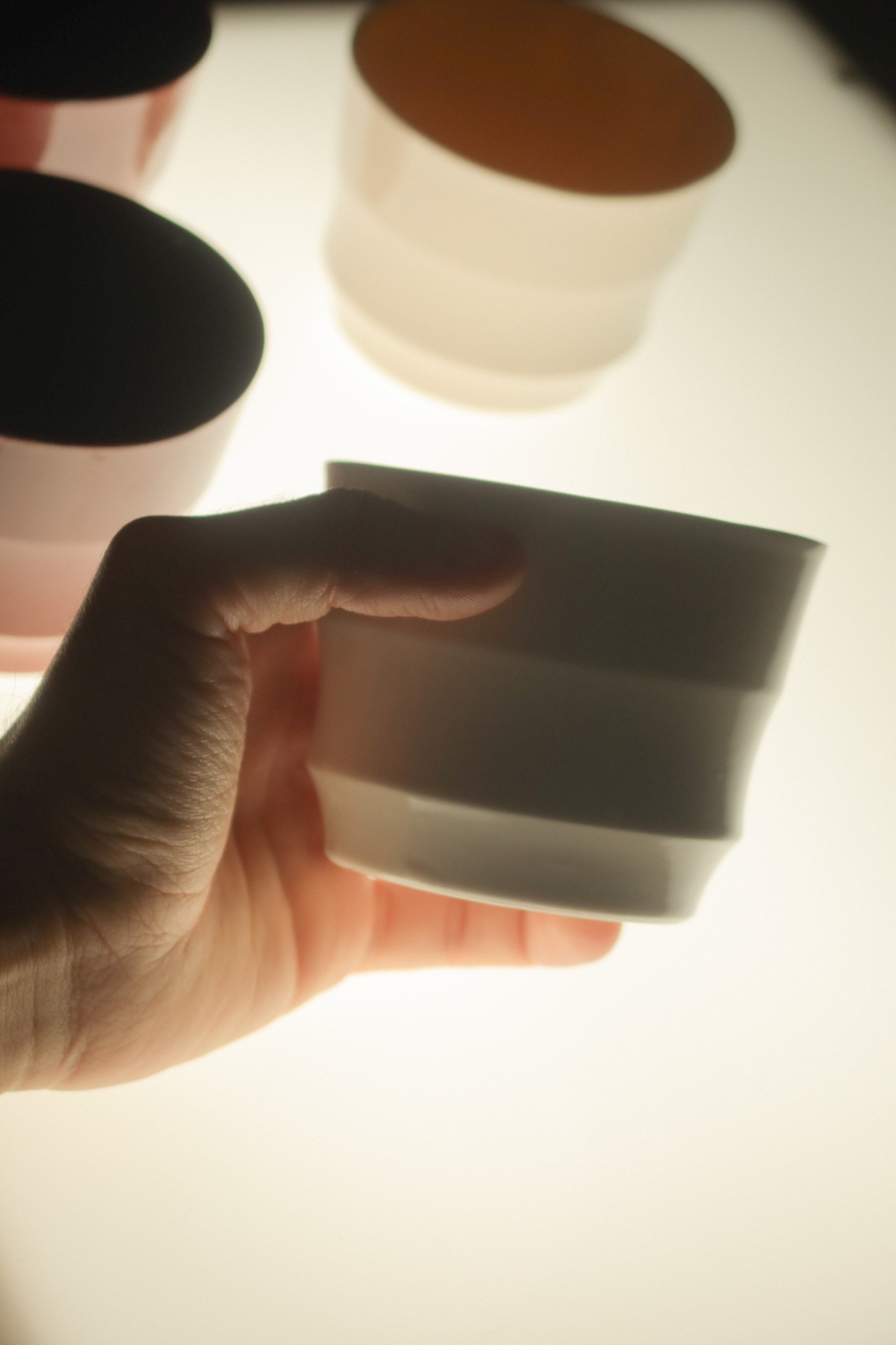 laddercup - rv - lichen10.JPEG