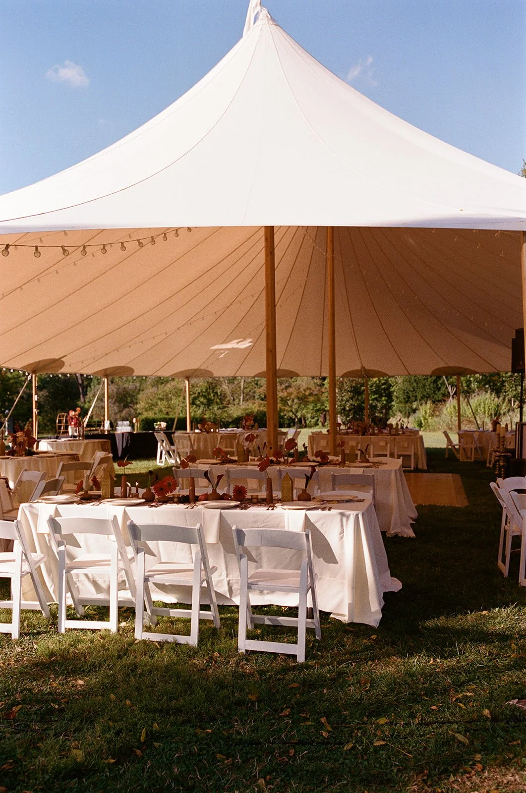 rosemarymelihwedding-803.jpg
