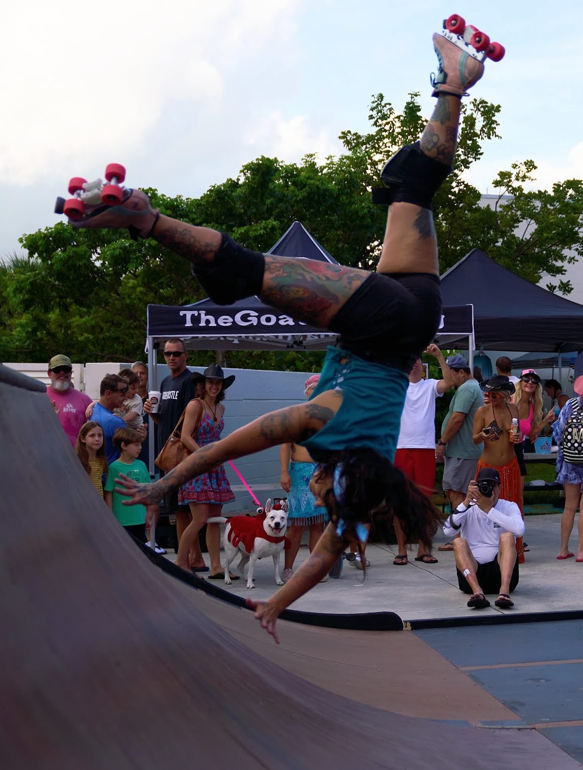 Photo dump! Thanks @clhnaturephoto for the first shot! It&rsquo;s one of my favorites. Sorry insta cropped it weird! :/