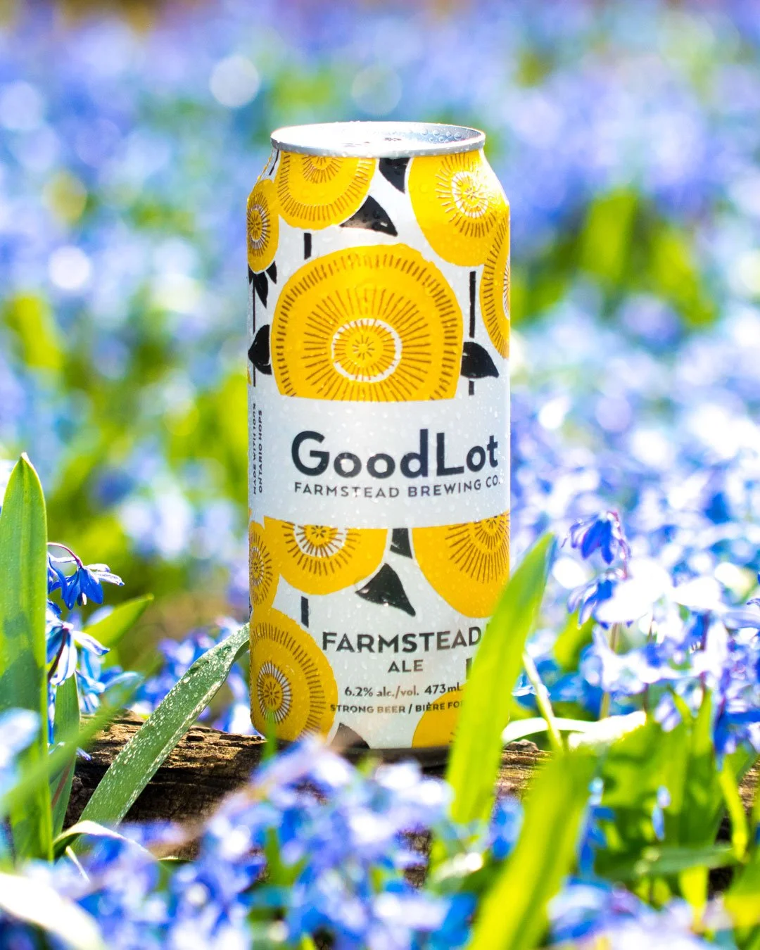 A can of GoodLot Farmstead Brewing Co. beer, specifically Farmstead Ale with 6.2% alcohol, positioned outdoors among green grass and purple flowers with a blurred background of blue, green, and purple hues.