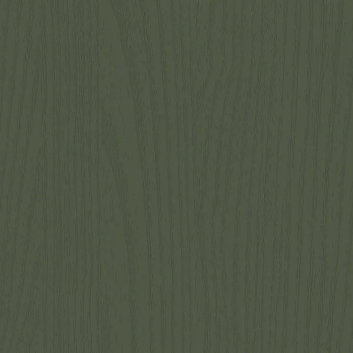 Close-up of a green painted wooden surface with visible wood grain texture.