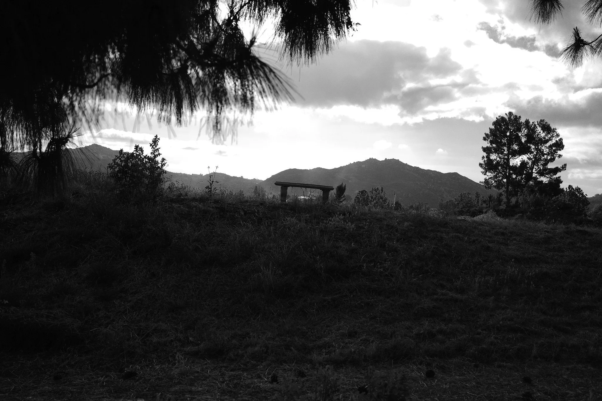 _R003408-2.jpg