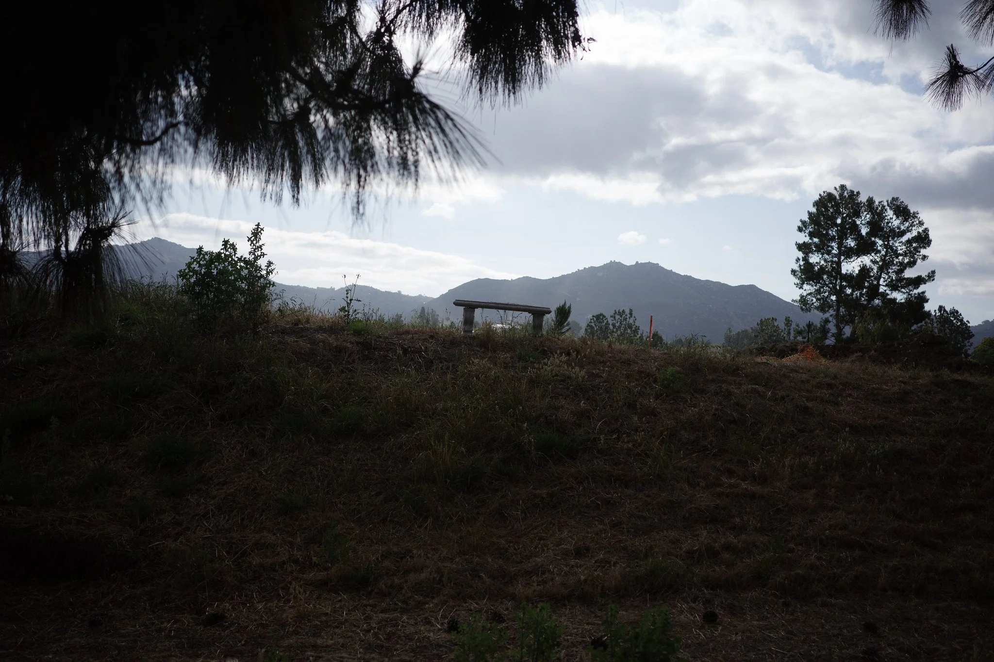 _R003408.jpg