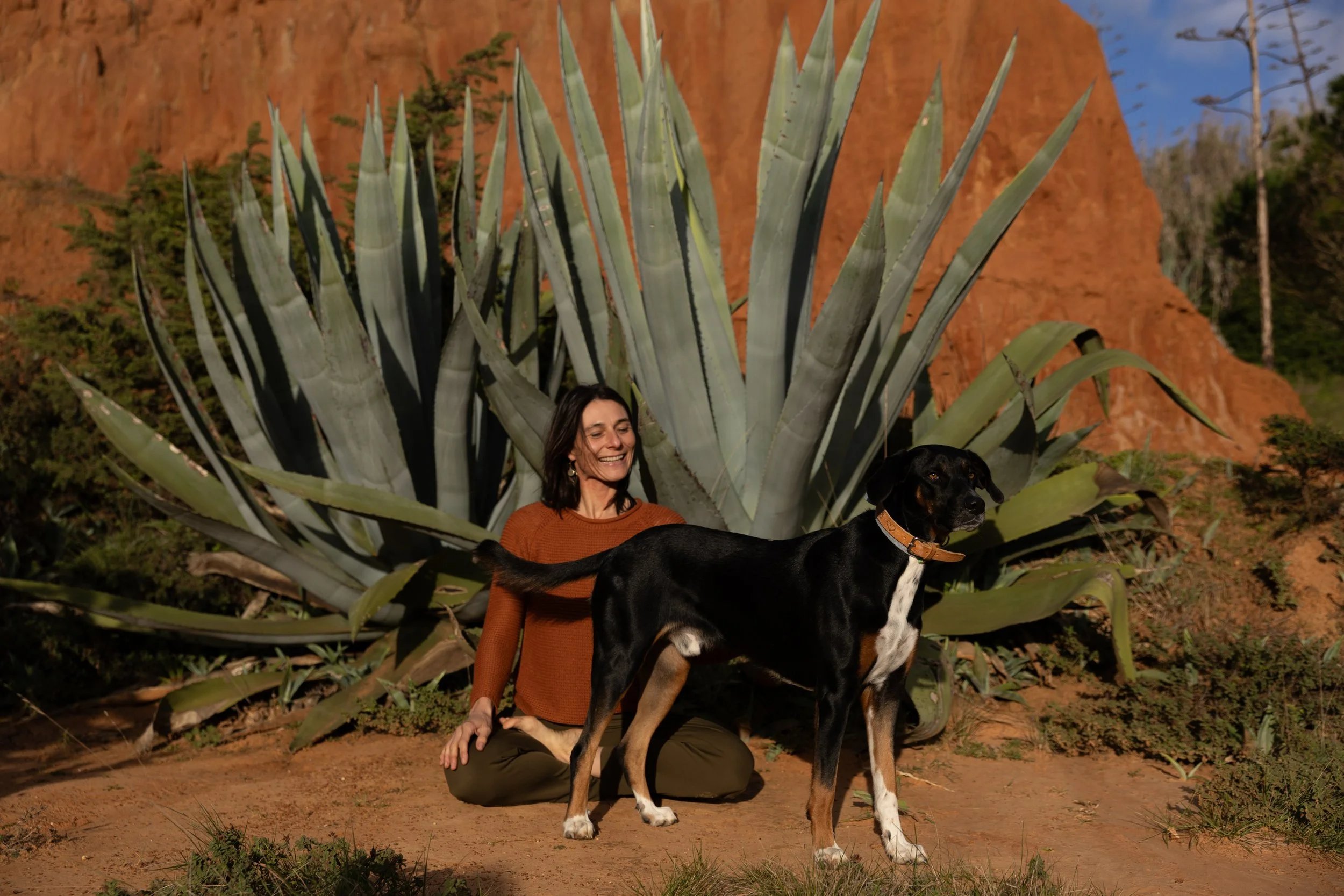 A woman smiling and sitting on the ground with a large black and tan dog in front of a big agave plant at sunset.