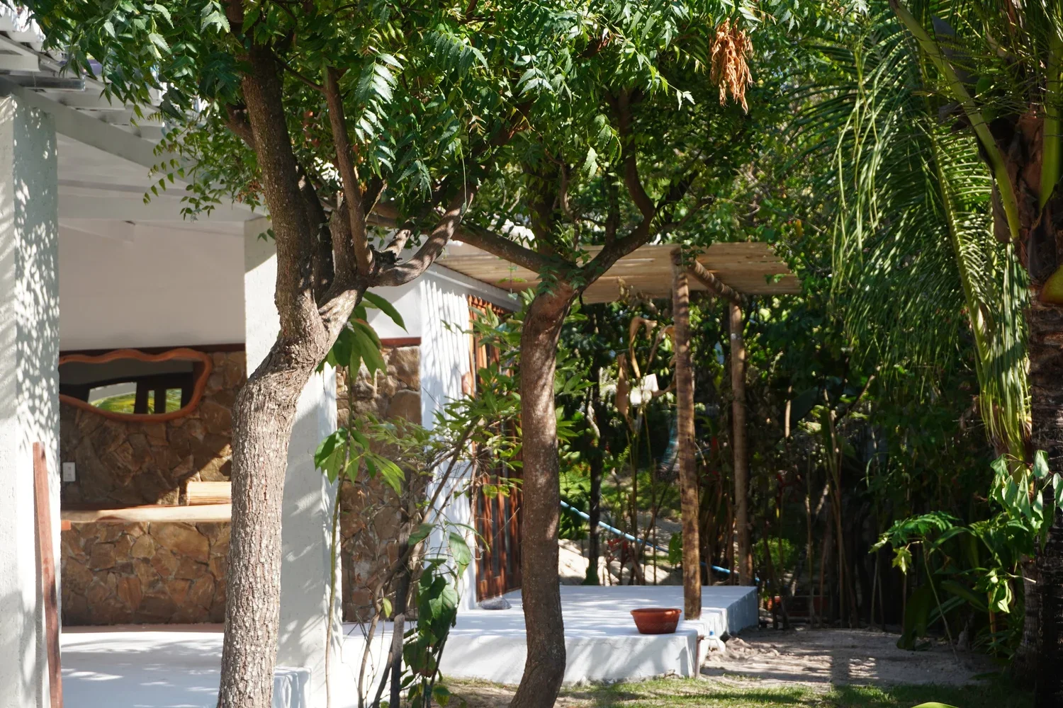 DSC01424.webp