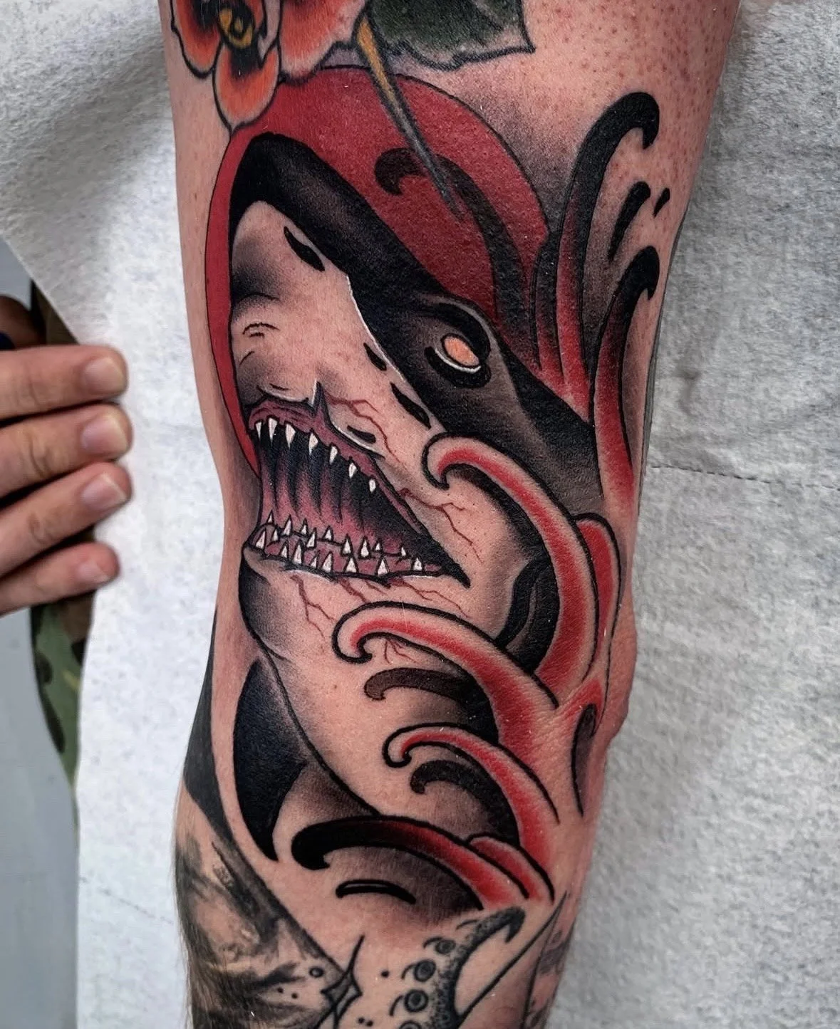 Tattoo of a shark with an open mouth showing sharp teeth, surrounded by red and black swirling shadows and flowers, on a person's arm.