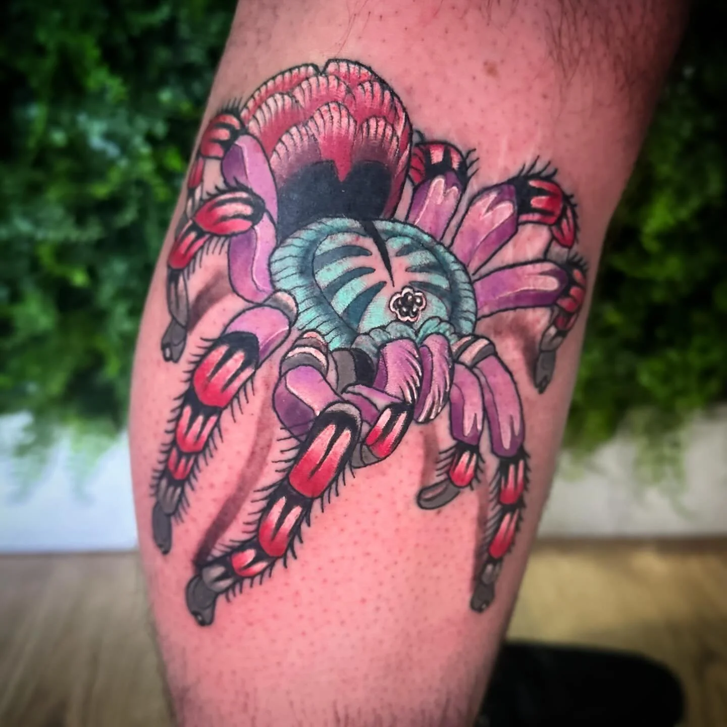 Had a blast tattooing this Pink Toed Tarantula at Sovereign Souls Tattoo today! Books are open for 2026! Dm or text to set up a free consultation! @sovereignsoulstattoo #pinktoedtarantula #colortattoo #tarantulatattoo #spidertattoo #neotraditionallov