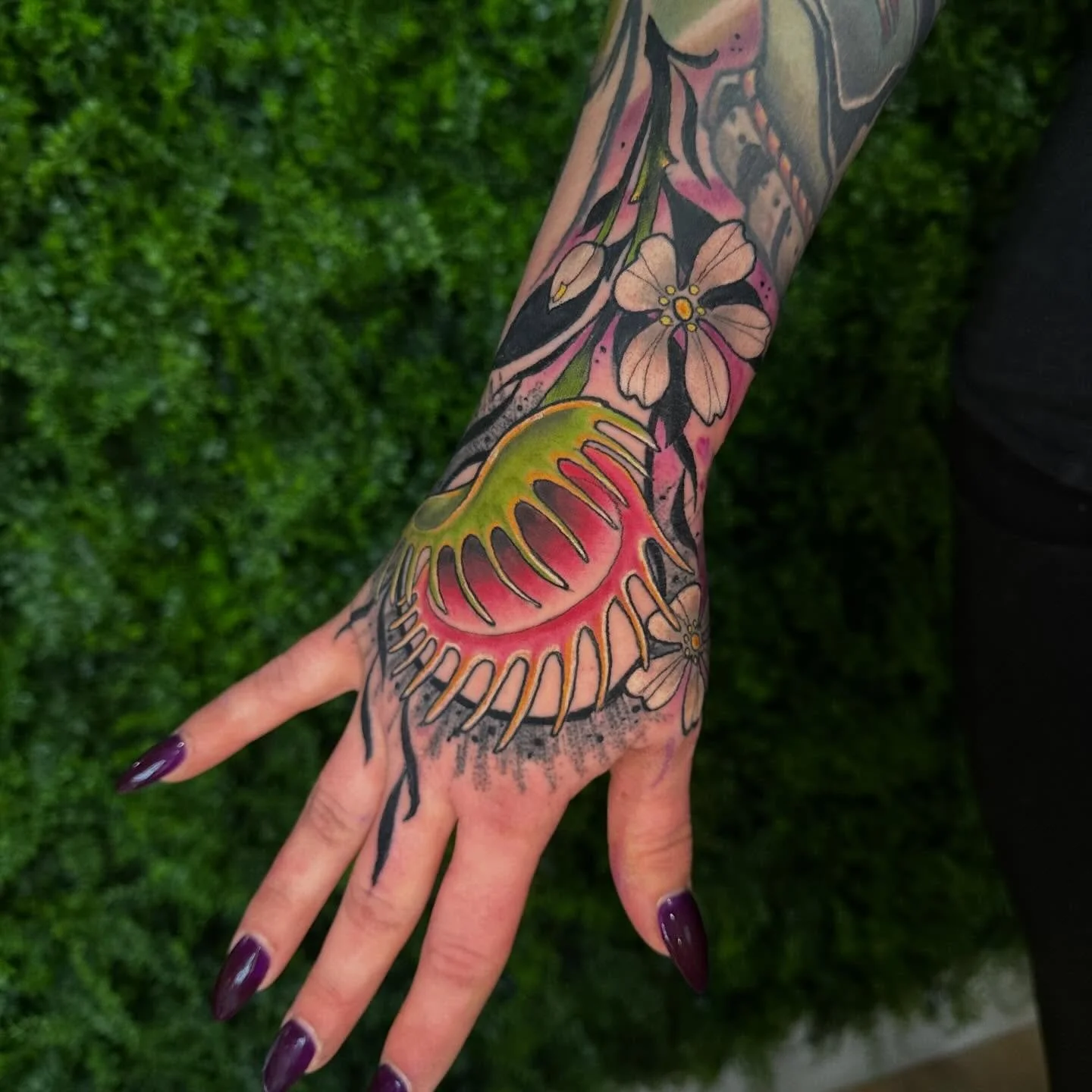 Had a blast adding this Reeksa carnivorous plant to finish off this Star Wars sleeve today. Love tattooing hands and am available for custom pieces like this at Sovereign Souls Tattoo in Loveland! #venusflytrap #carniverousplant #handjammer #jobstopp