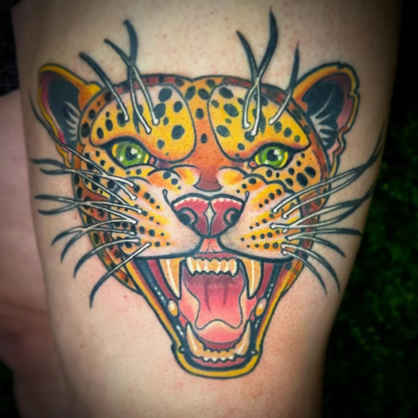 Got to do some minor touch ups on this healed Jaguar today! #jaguar #healedtattoo #neotraditional #lovelandneitraditional