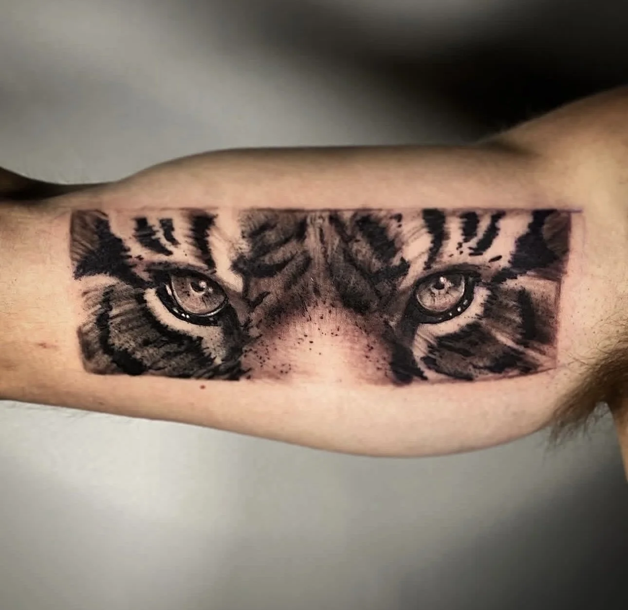 Tattoo of a tiger's face with intense eyes on a person's forearm.