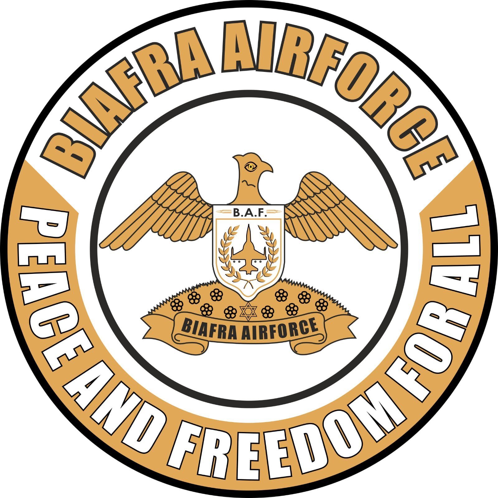 biafra-airforce.jpeg