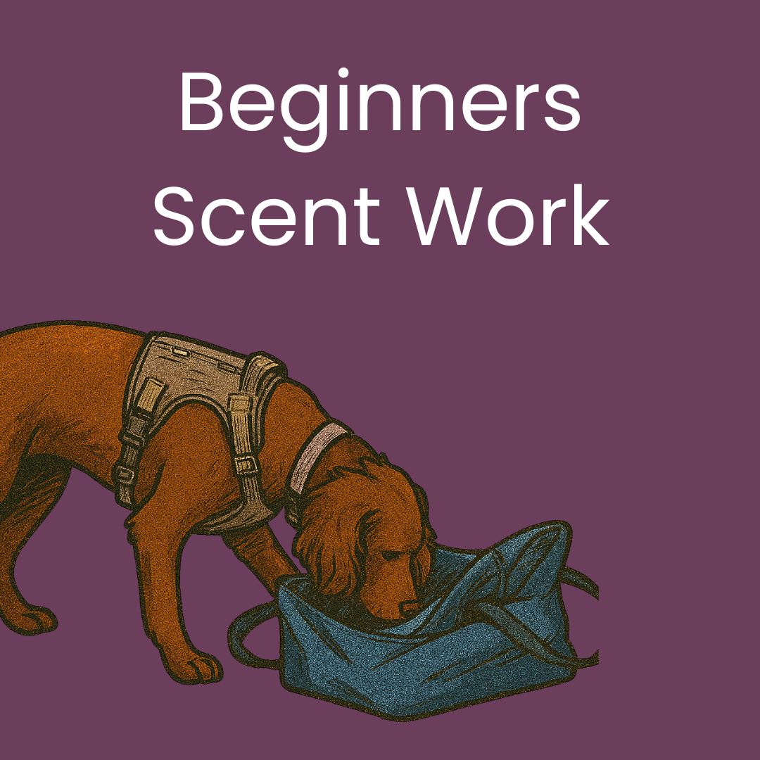 Beginners Scent Work