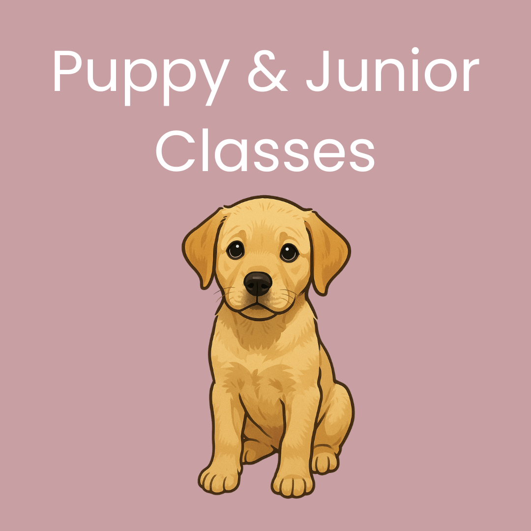 Puppy & Junior Class