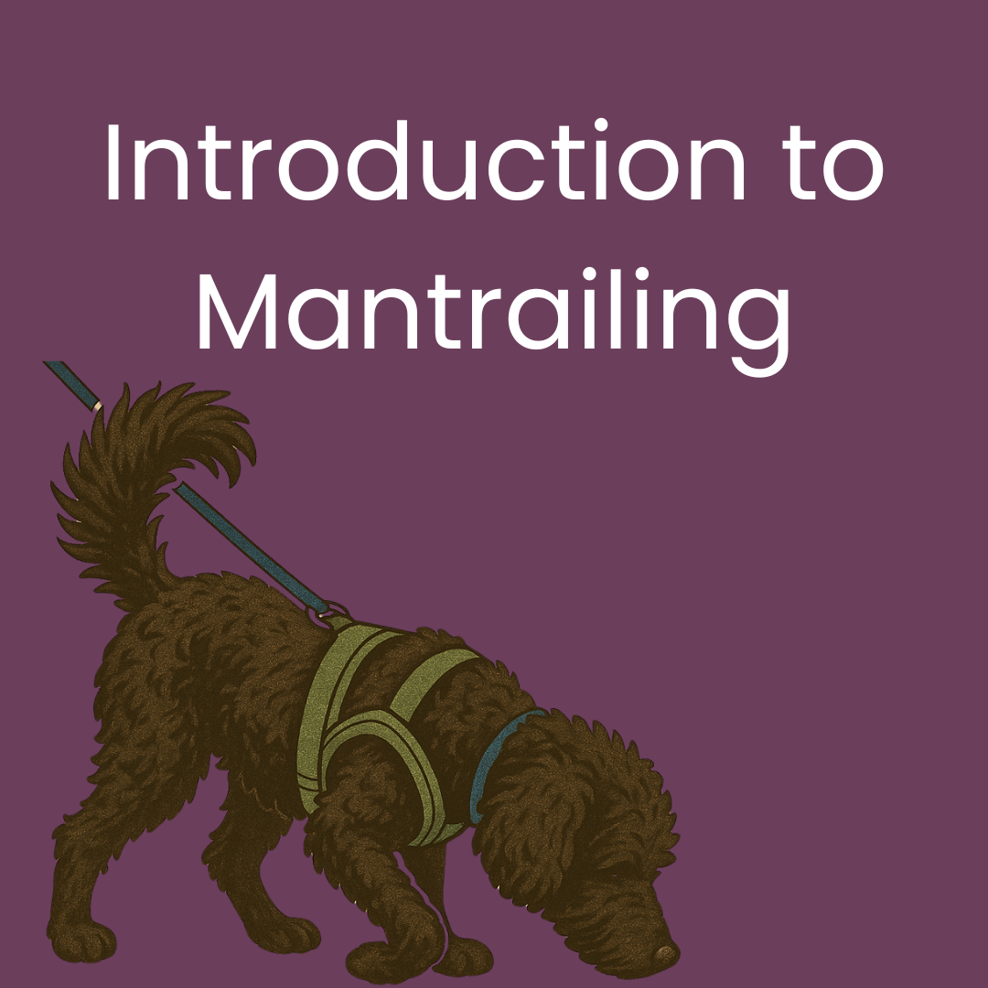 Introduction to Mantrailing