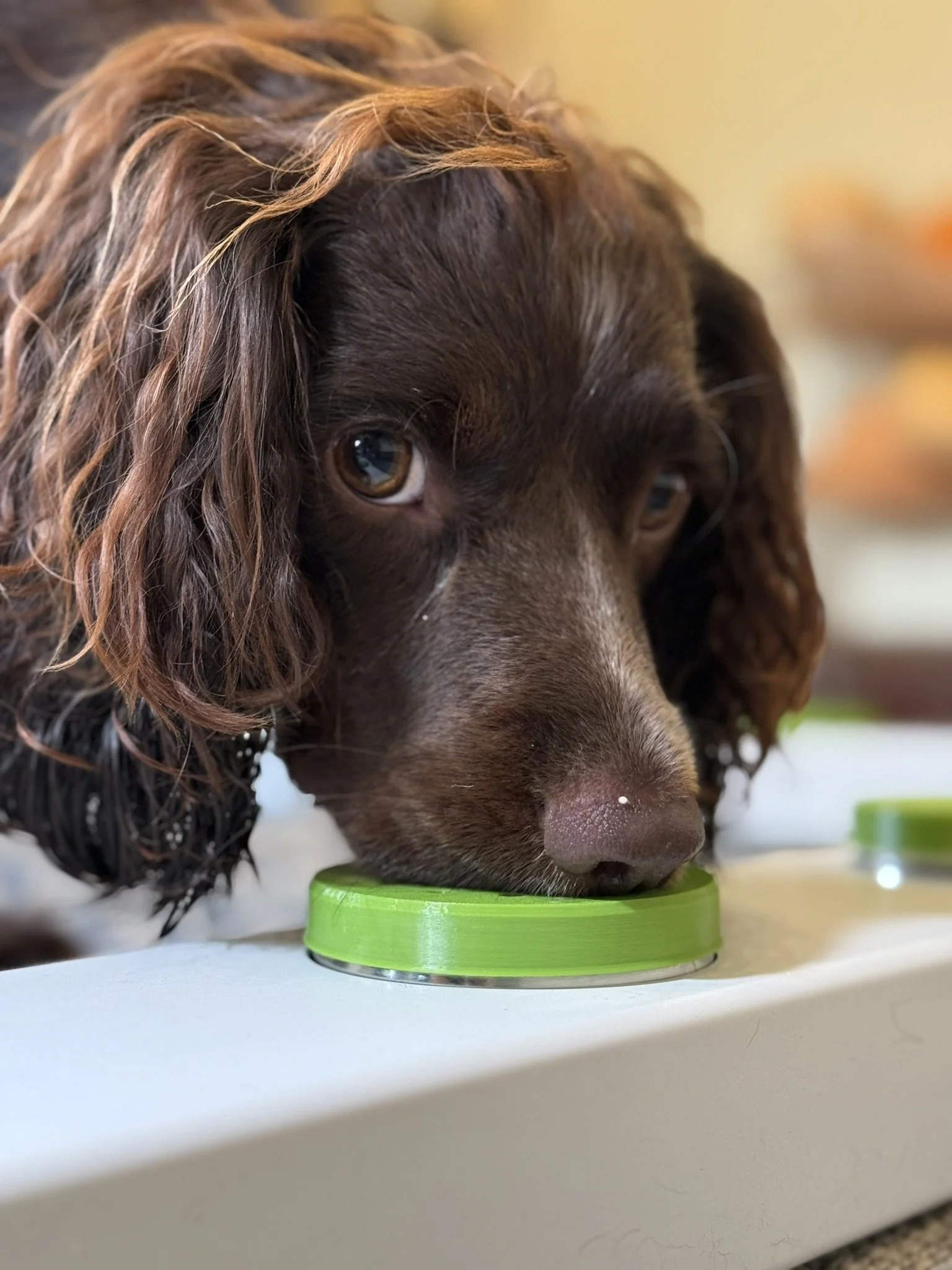 Scent &amp; Sensibility – Sniff Out Our Autumn Line-Up