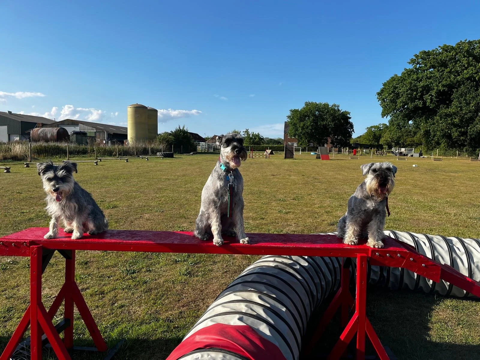 WhatsApp Image 2025-07-21 at 08.49.26_ab47b601.jpg