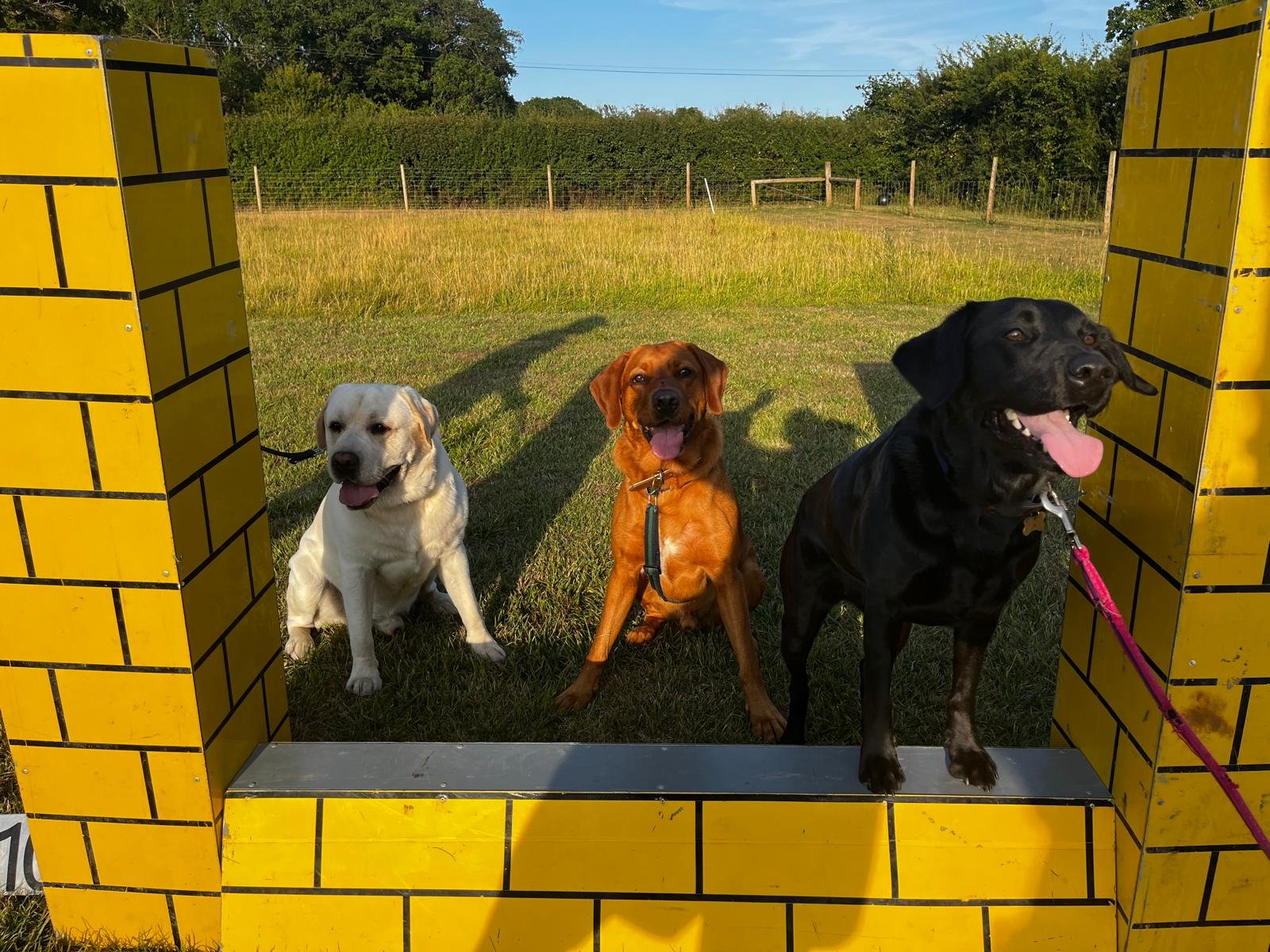 WhatsApp Image 2025-07-21 at 08.49.29_4606e44a.jpg