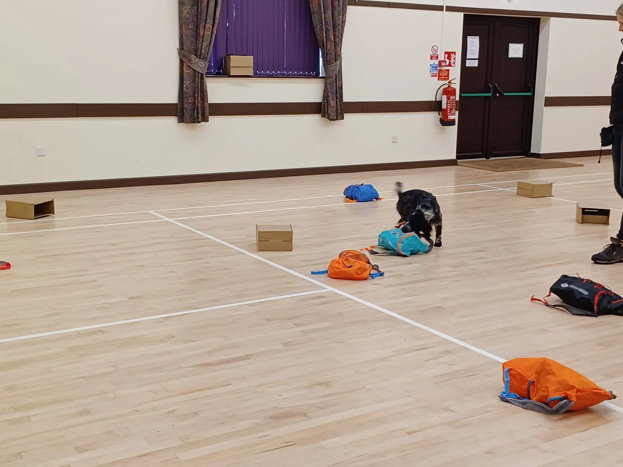 WhatsApp Image 2026-03-07 at 17.05.11.jpeg