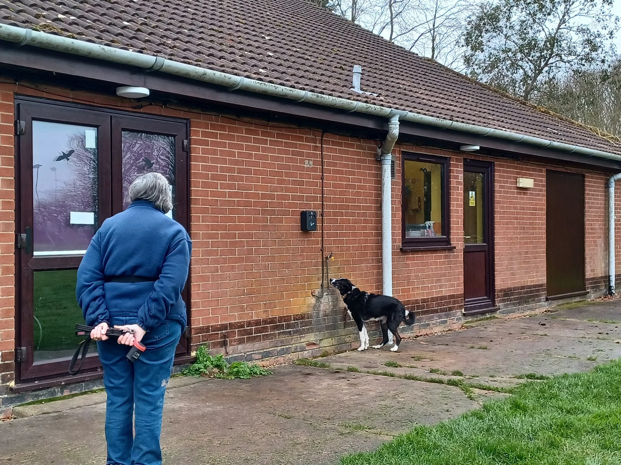 WhatsApp Image 2026-03-07 at 17.05.18.jpeg