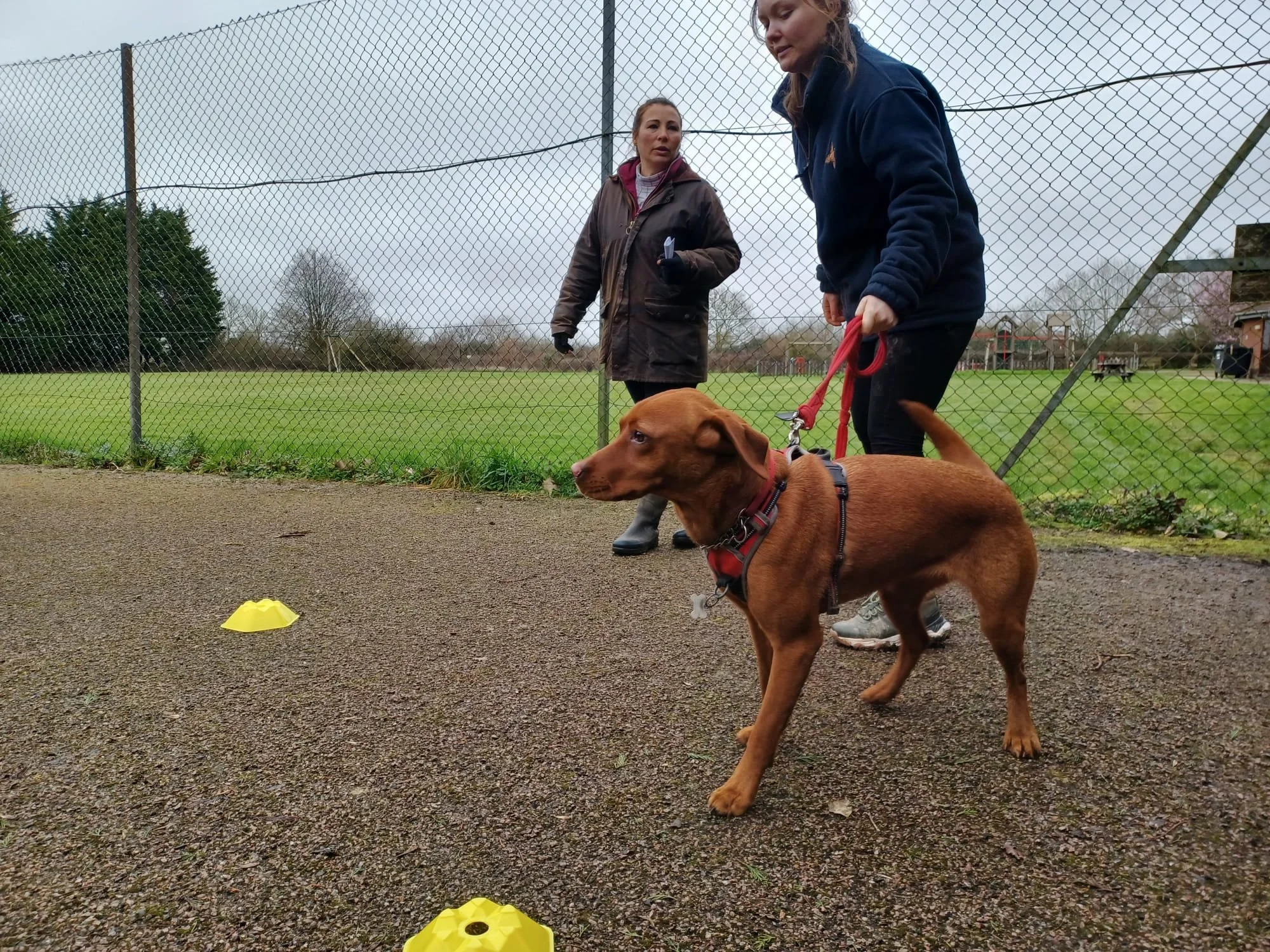 What is Scentwork UK?