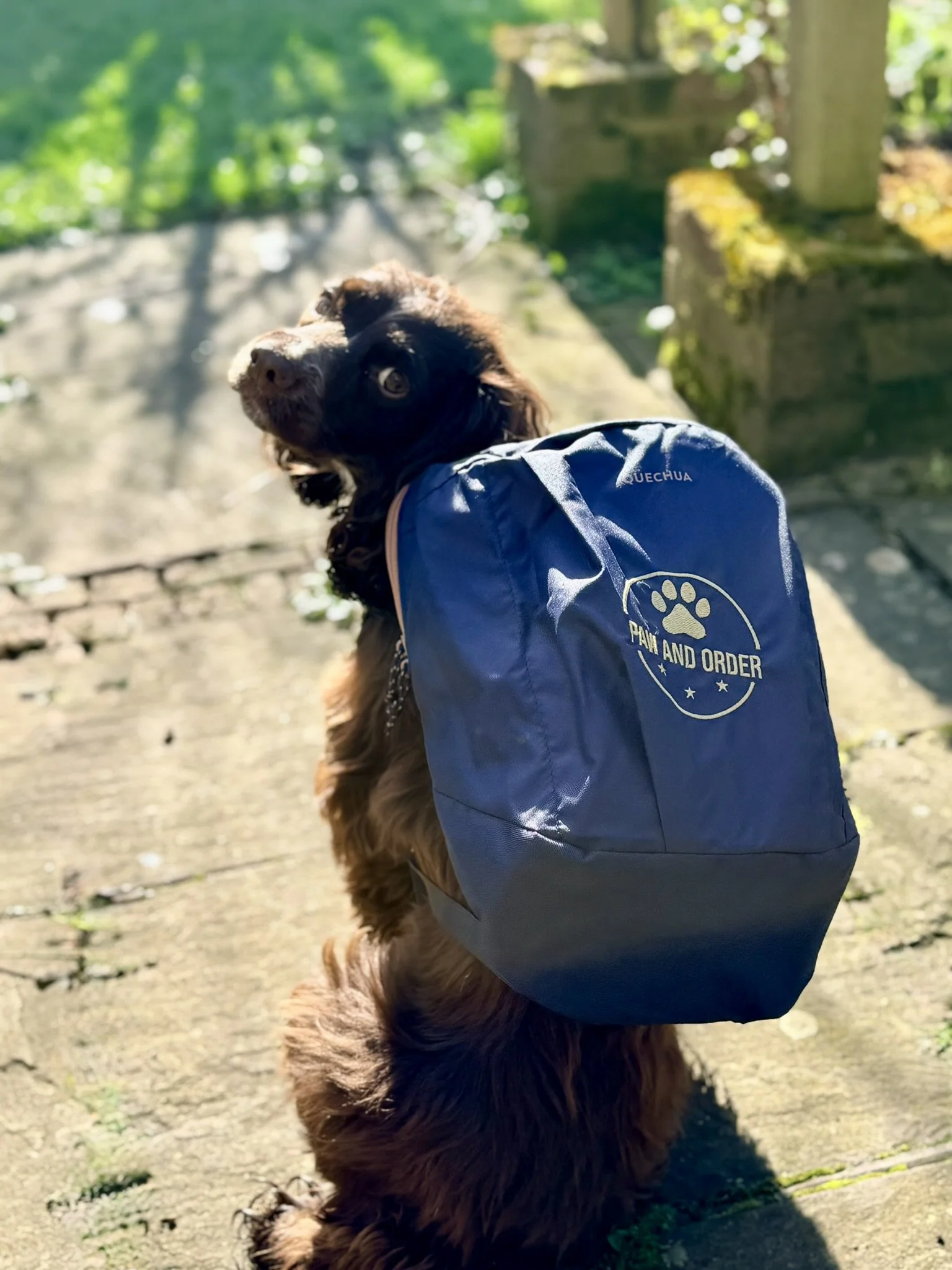 Paw & Order Backpack