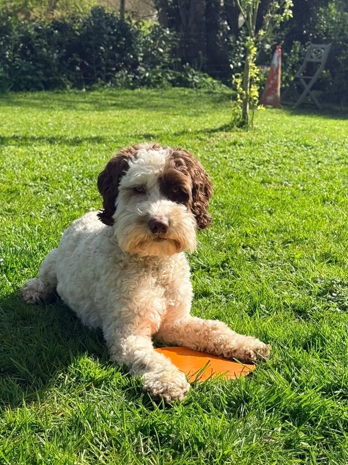 Mat