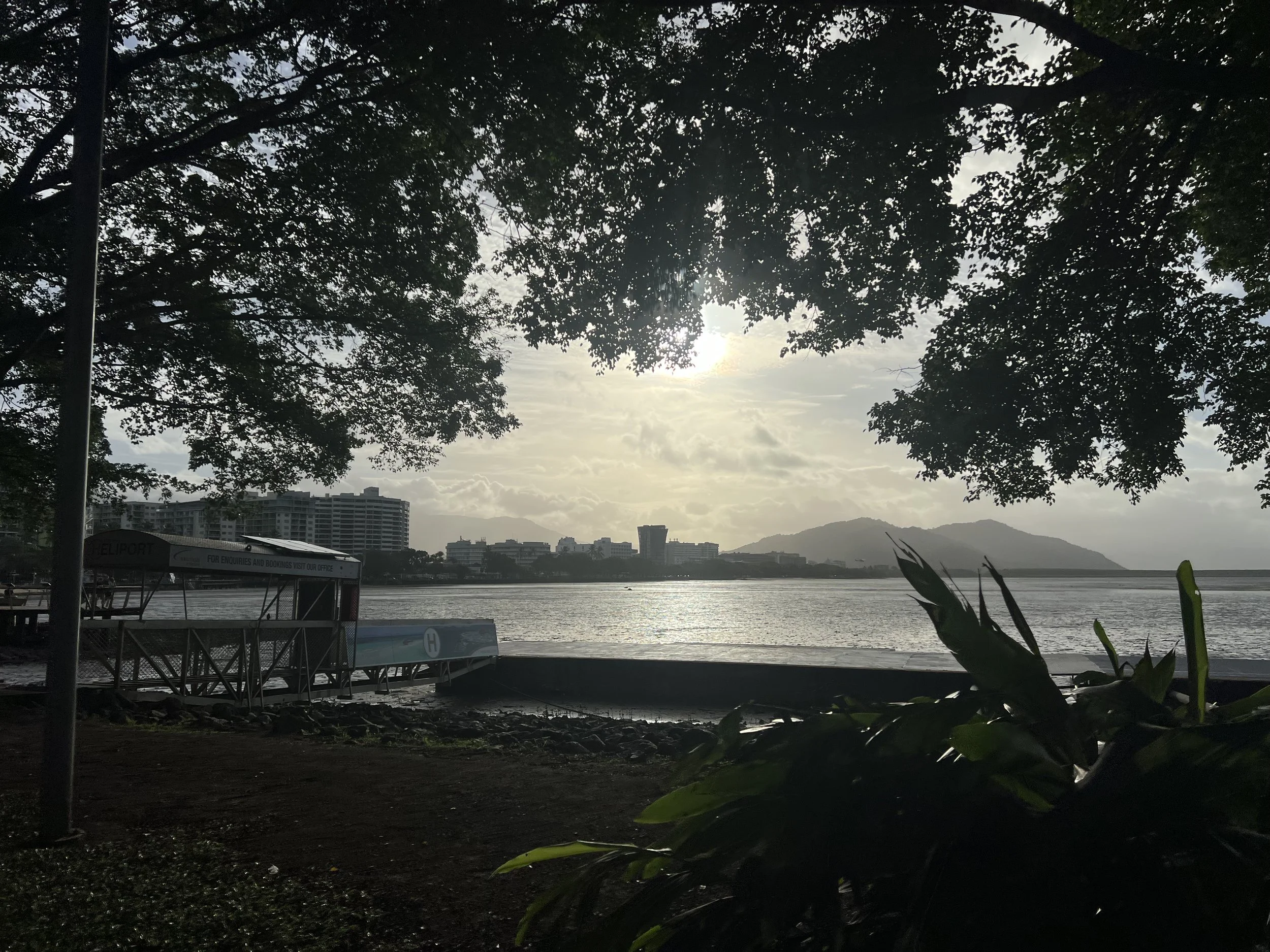 IMG_5388.jpeg