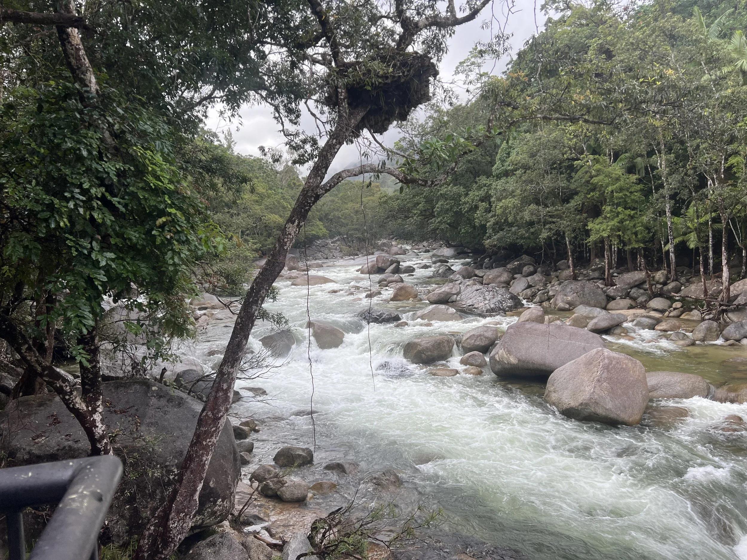 IMG_4704.jpeg