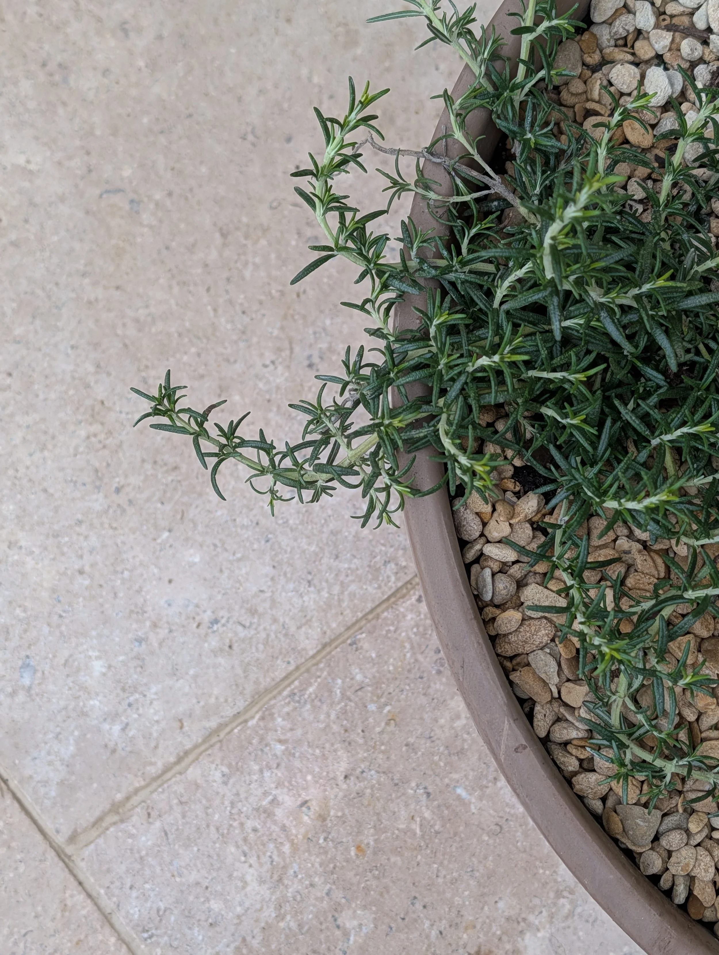 North Oxford Contemporary