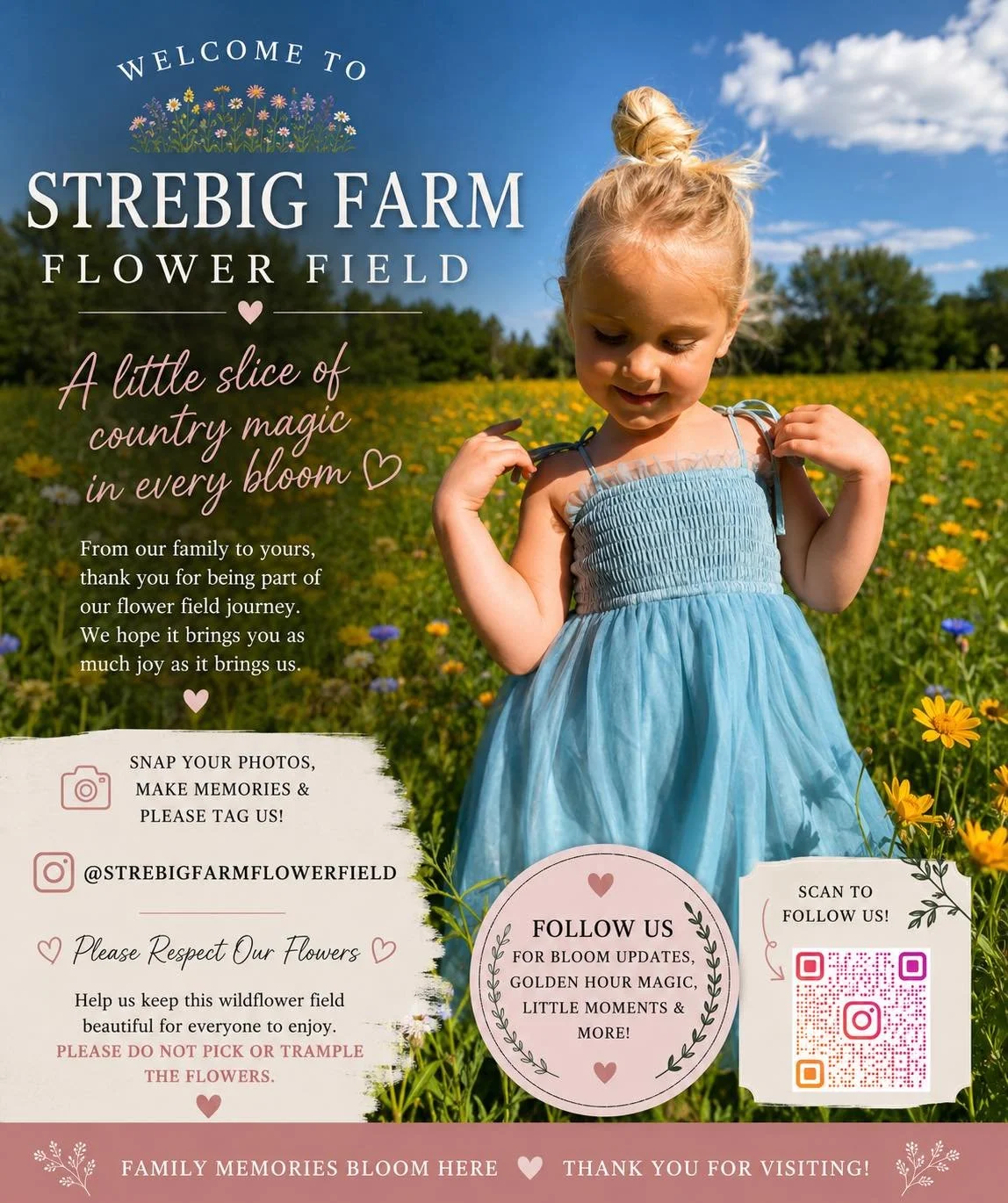 If you&rsquo;re local to the area &mdash; or just passing through and happen to spot our wildflower field &mdash; feel free to stop and snap a few photos 🌸✨

What started as our family simply planting one of our fields with wildflowers has turned in