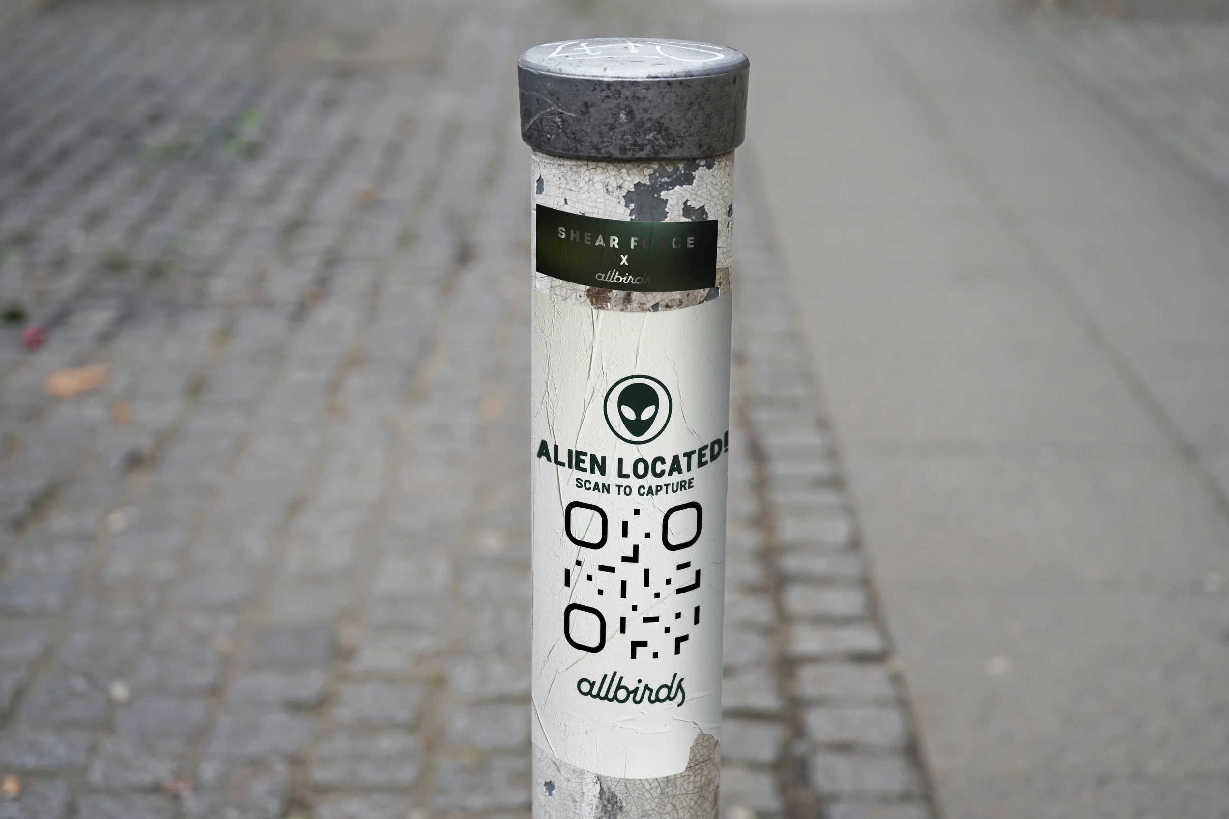 allbirds_alien_located.jpg