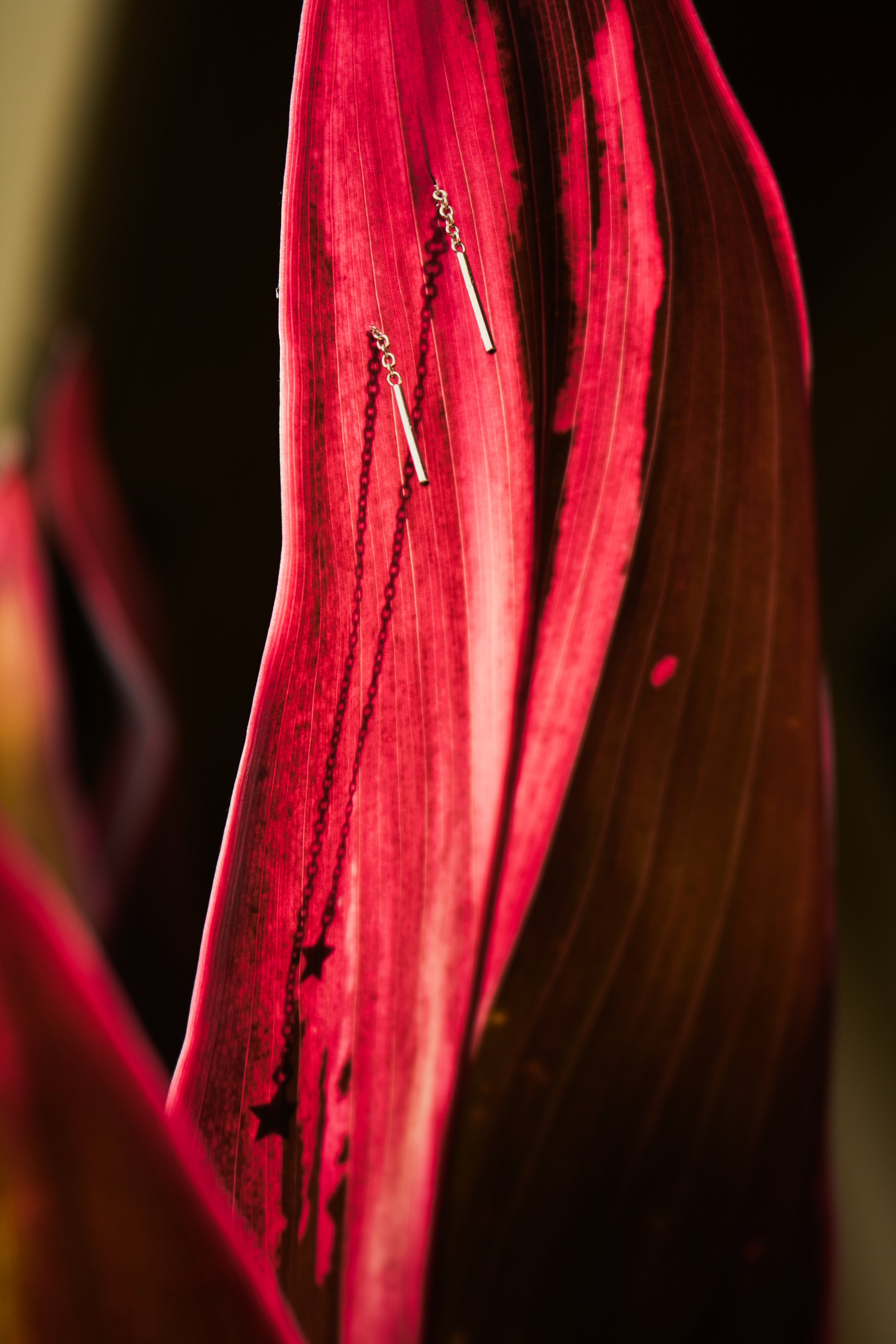 _MG_0759.jpg