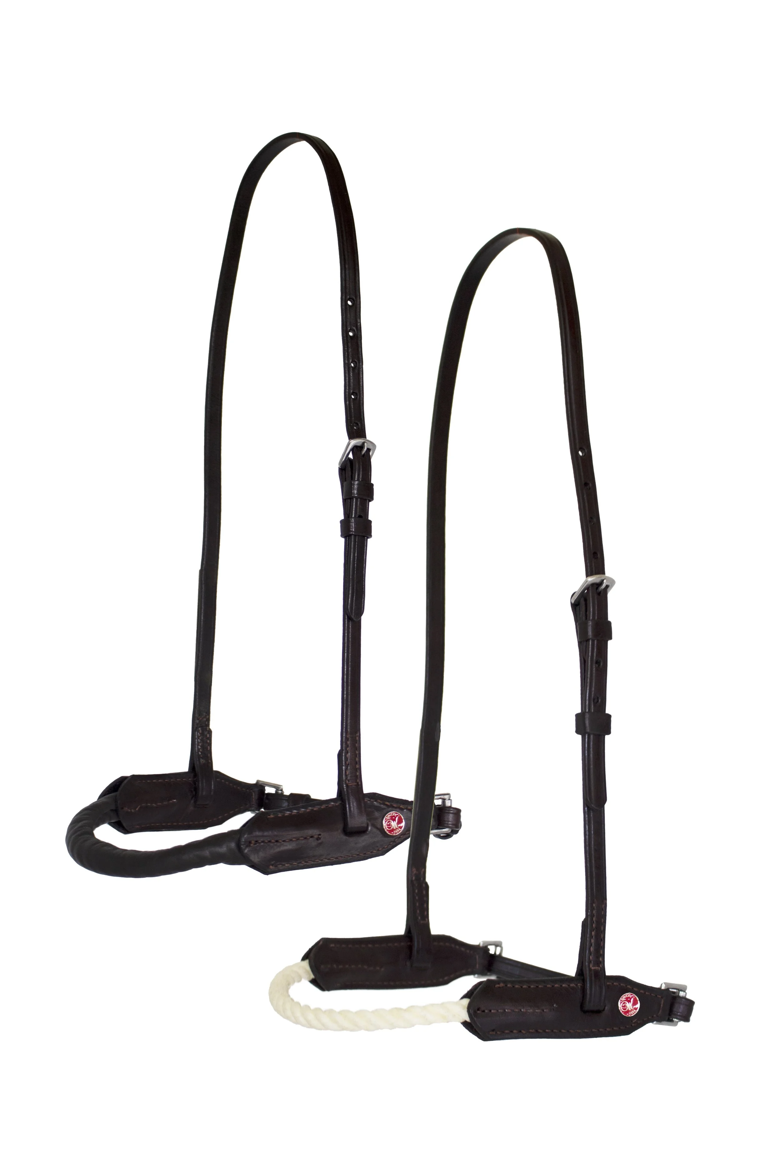 WALSH_LCNOSEBAND copy.jpeg