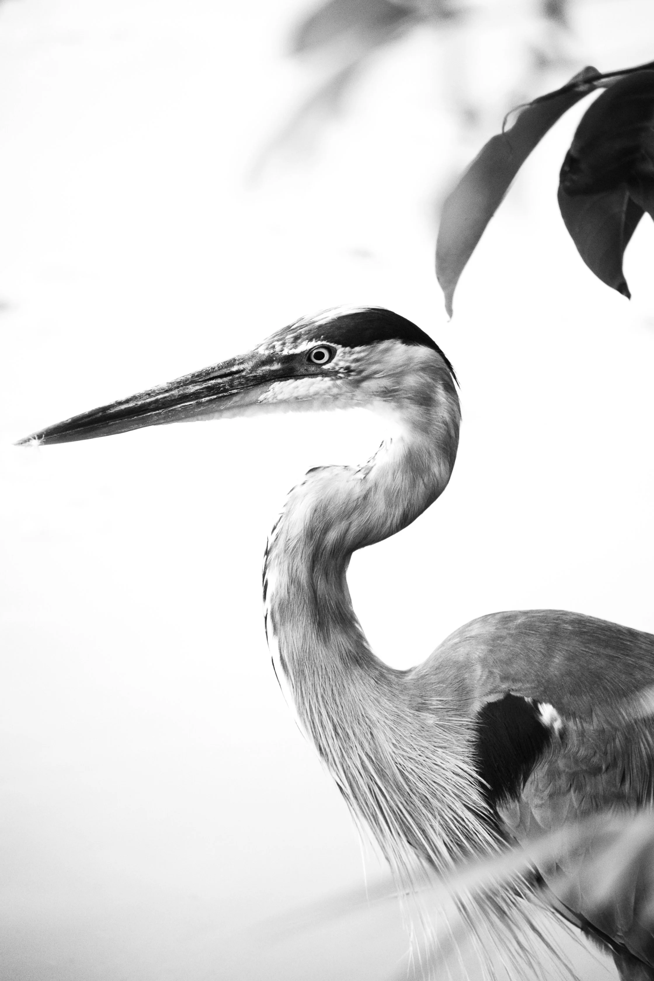 _09A5505.jpg