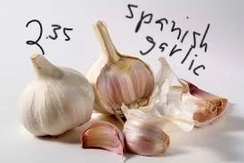 garlic.jpg
