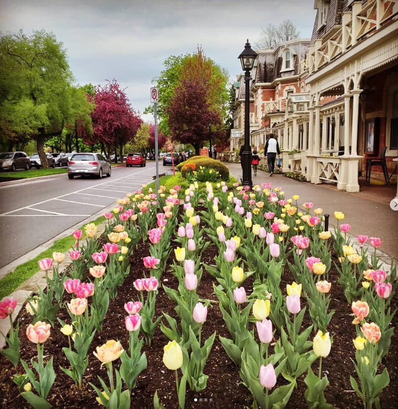 Screenshot 2026-03-05 170744.png