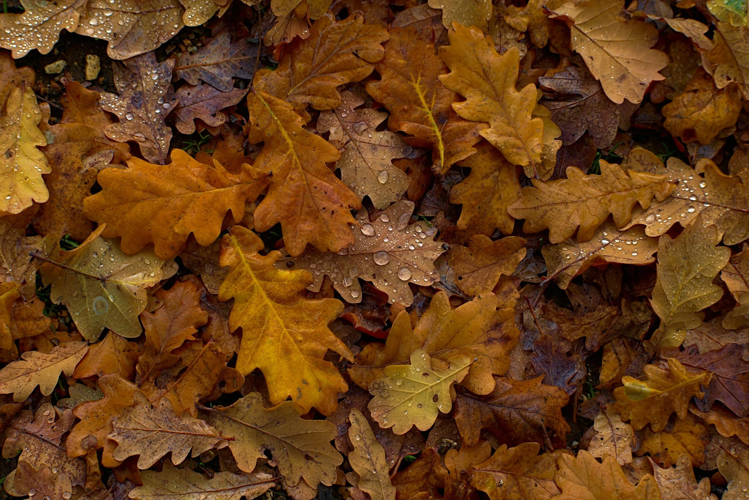 unsplash-image-F9LRM5rq03Q.jpg