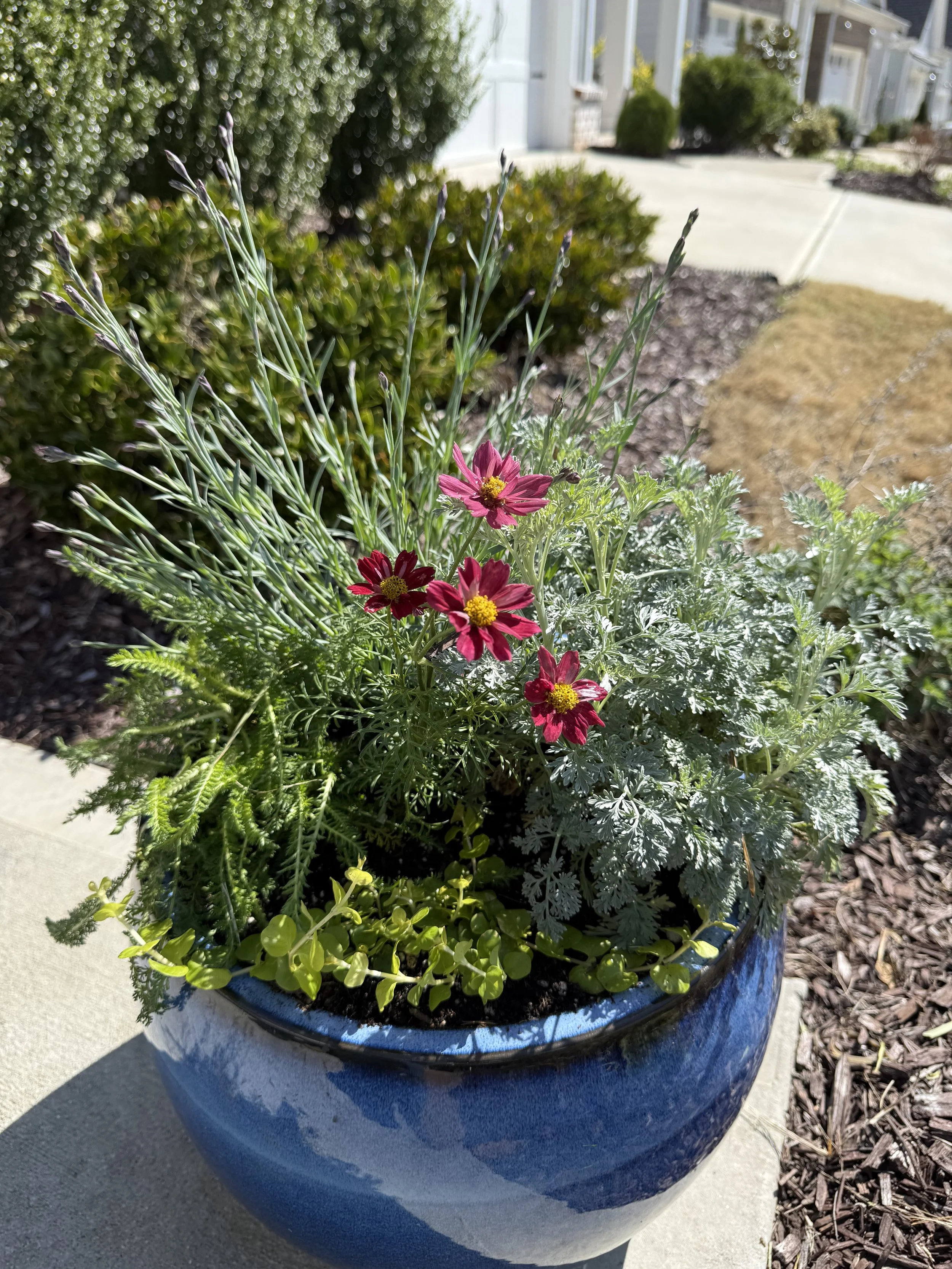 Spring Planter 1.jpg