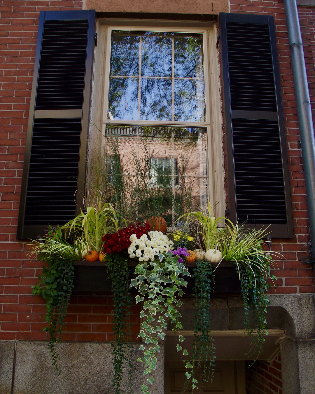 Window Box Styling