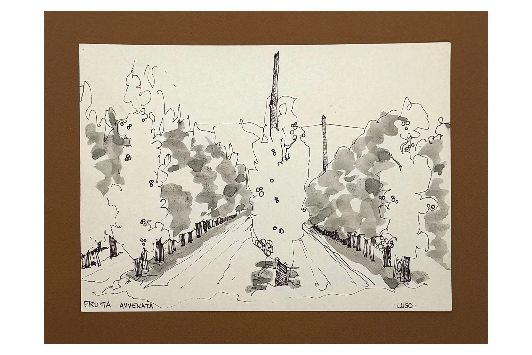 A pen and ink painting of a vineyard with rows of grapevines, a support post in the middle, and trees lining both sides of the vineyard. The drawing is labeled 'Frutta Avvenata' in the lower left corner.