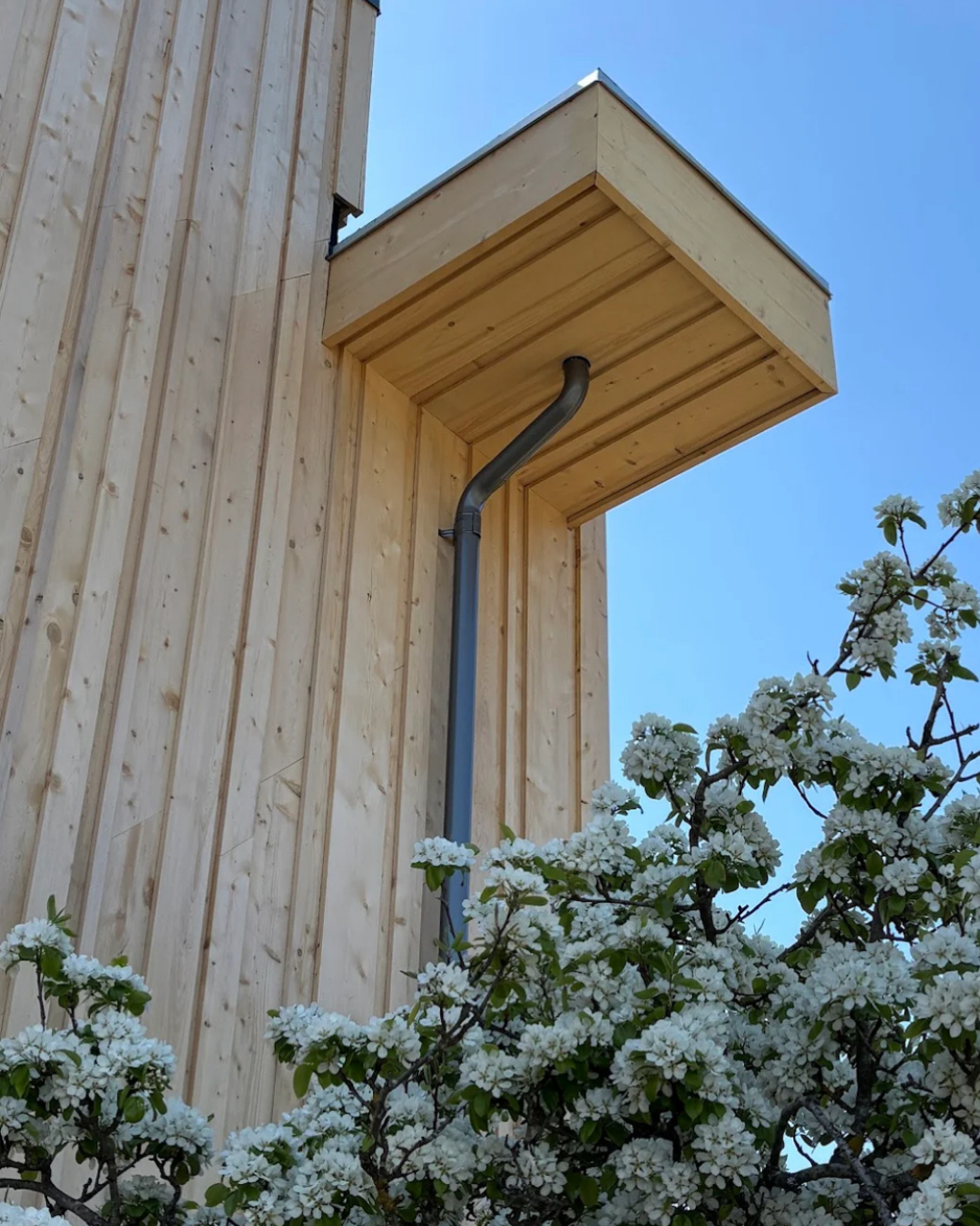 Cedar-clad eave and metal downspout detail on Passive House owner-build.