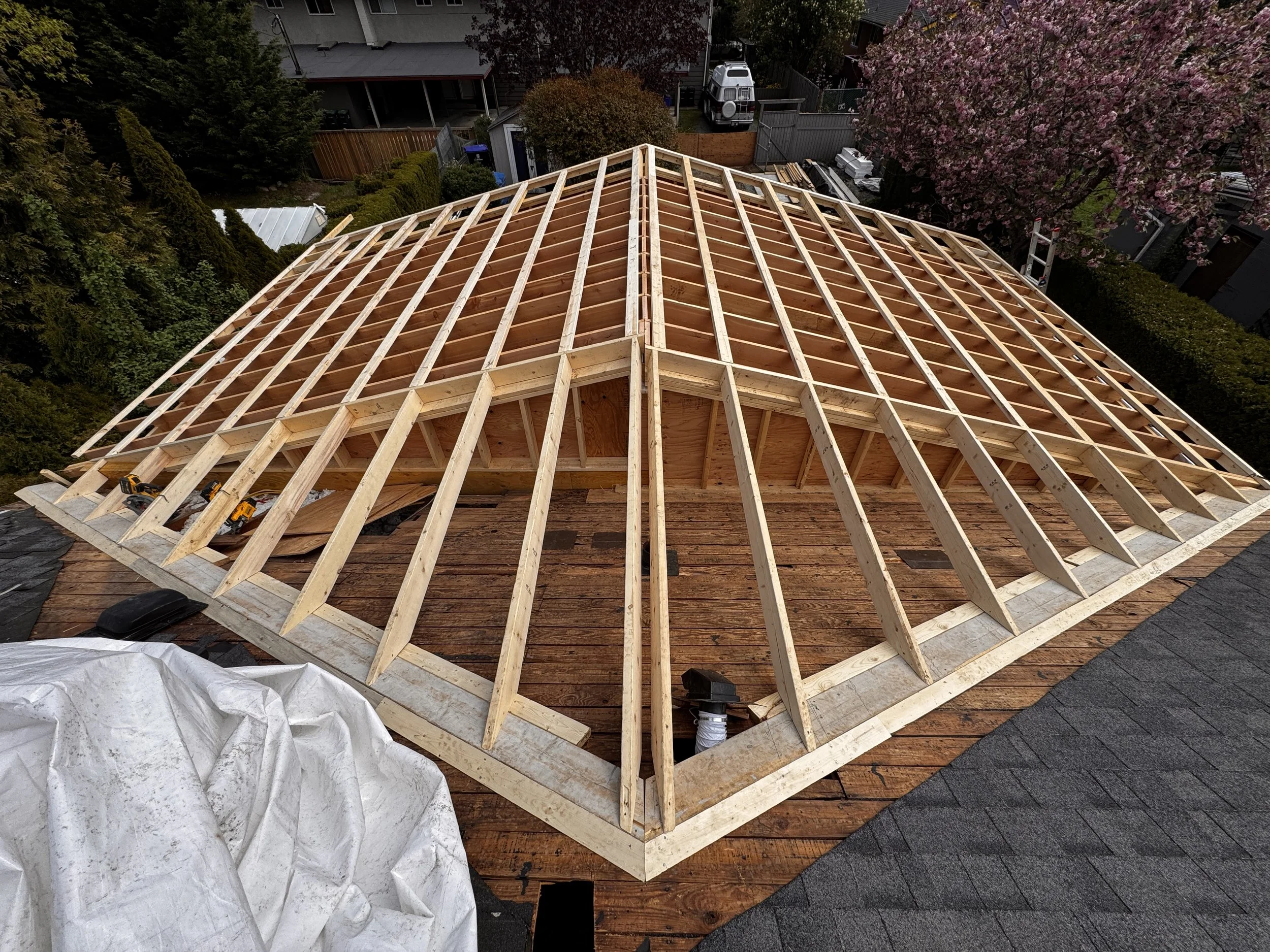 Roof framing for a bedroom and living room home addition in Courtenay BC.