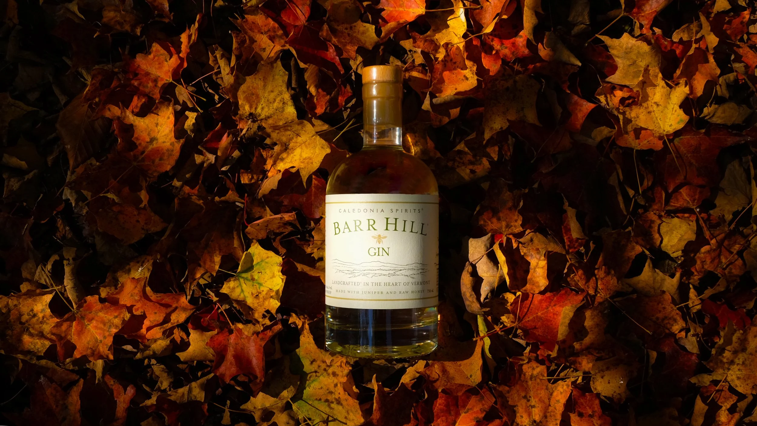 BH_Gin_Leaves.jpg