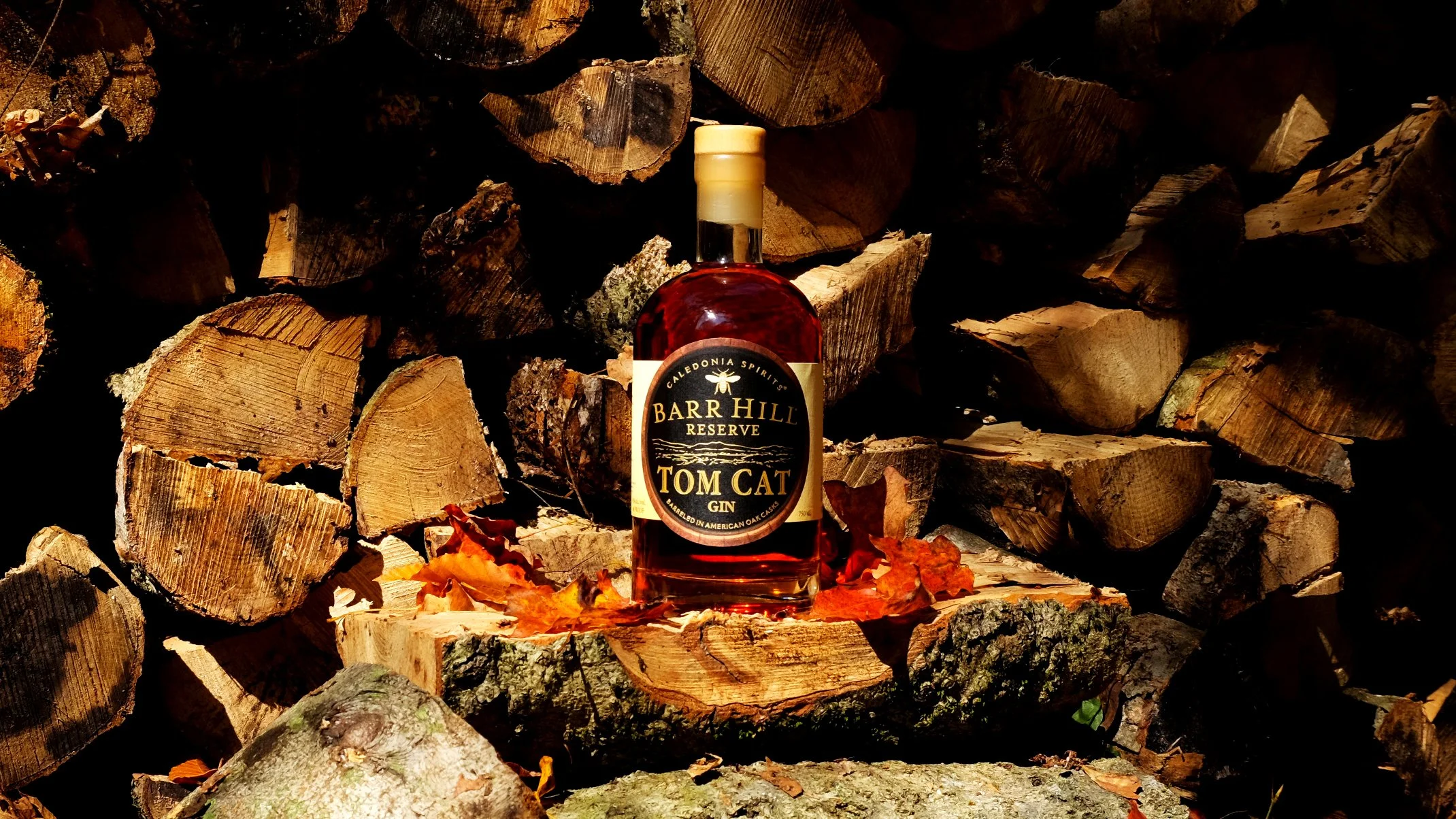 BH_Tom_Cat_Wood_Stack_Croped.jpg