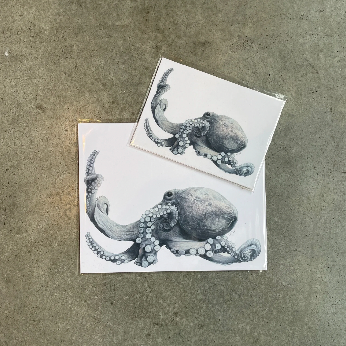 Octopus+Print+-+main+shot.png
