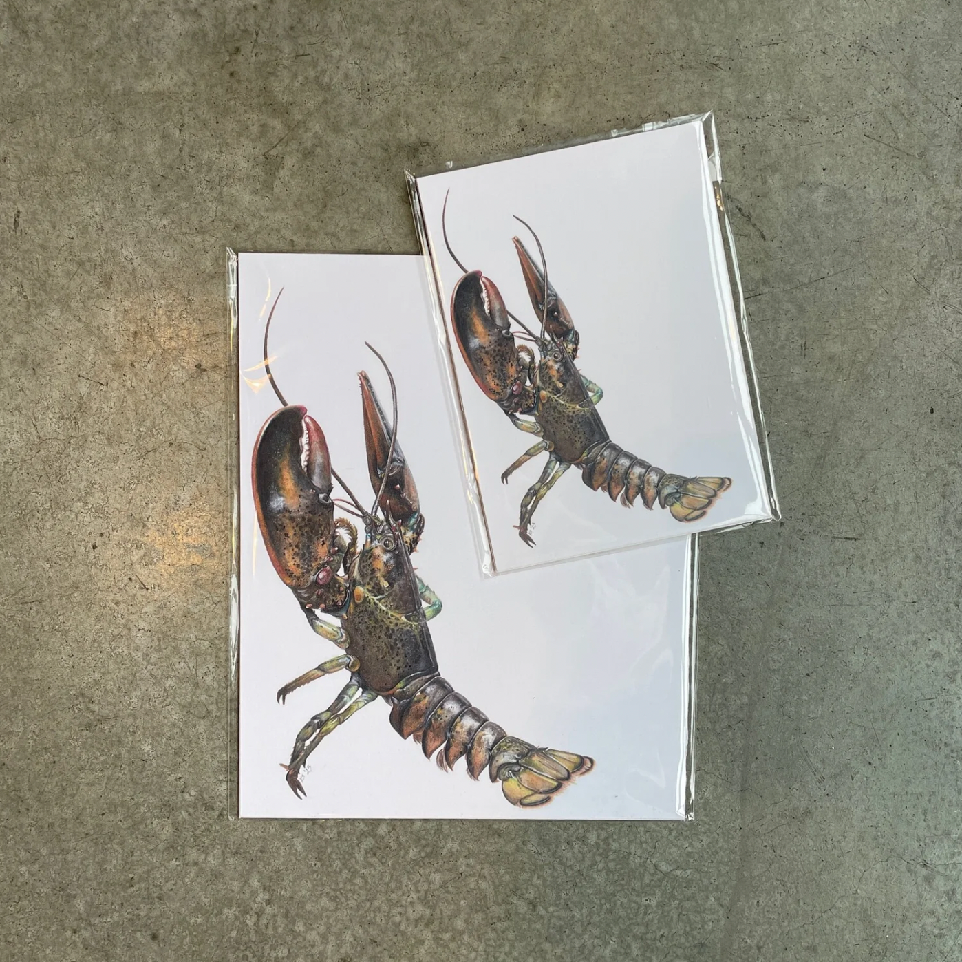 Lobster+Print+-+main+shot.png