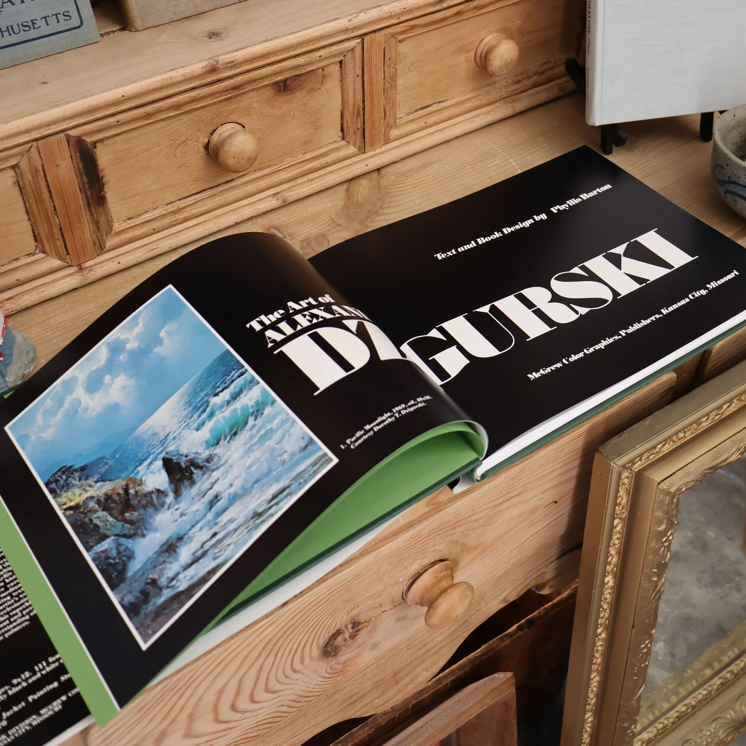 Alexander+Dzgurski+Book+-+inside+cover+shot+%282%29.png