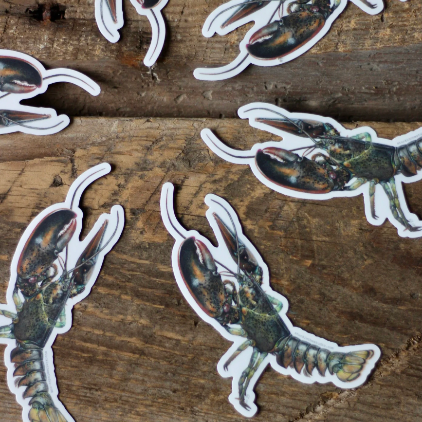 Lobster+Sticker+-+main+shot.png