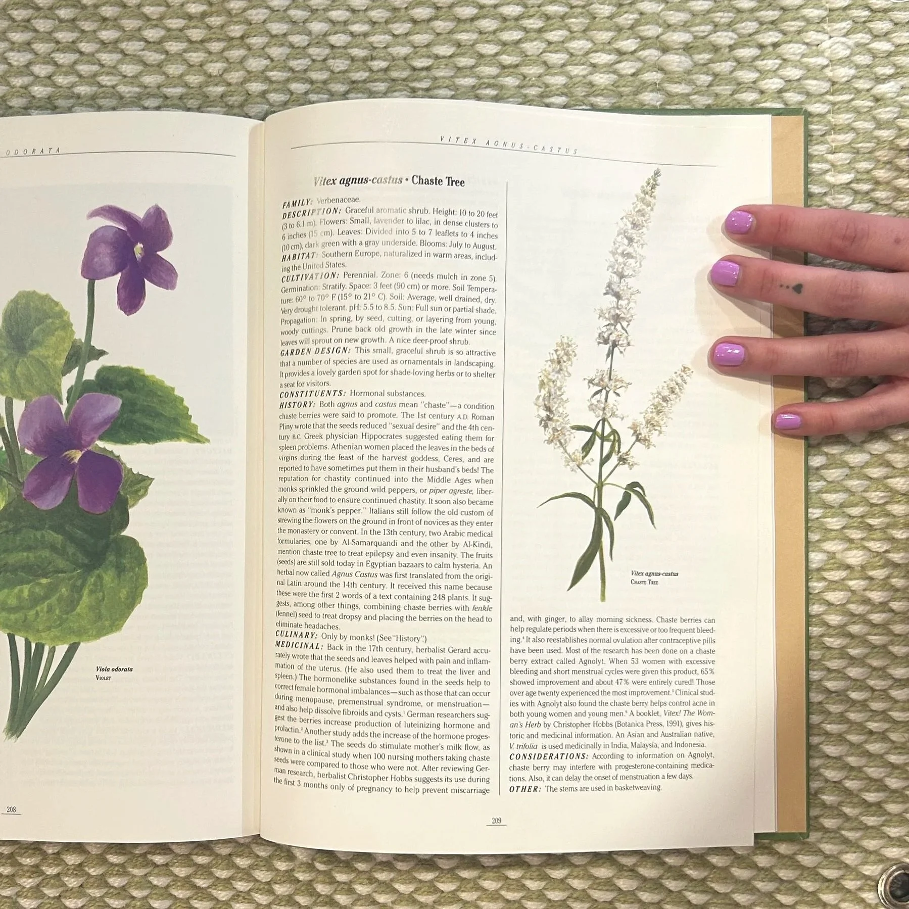 The Illustrated Herb Encyclopedia (1991)